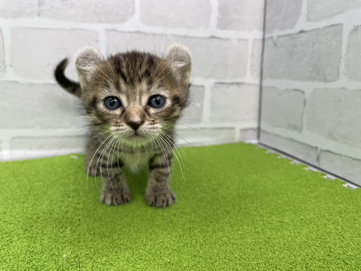 赤ちゃん写真2-1