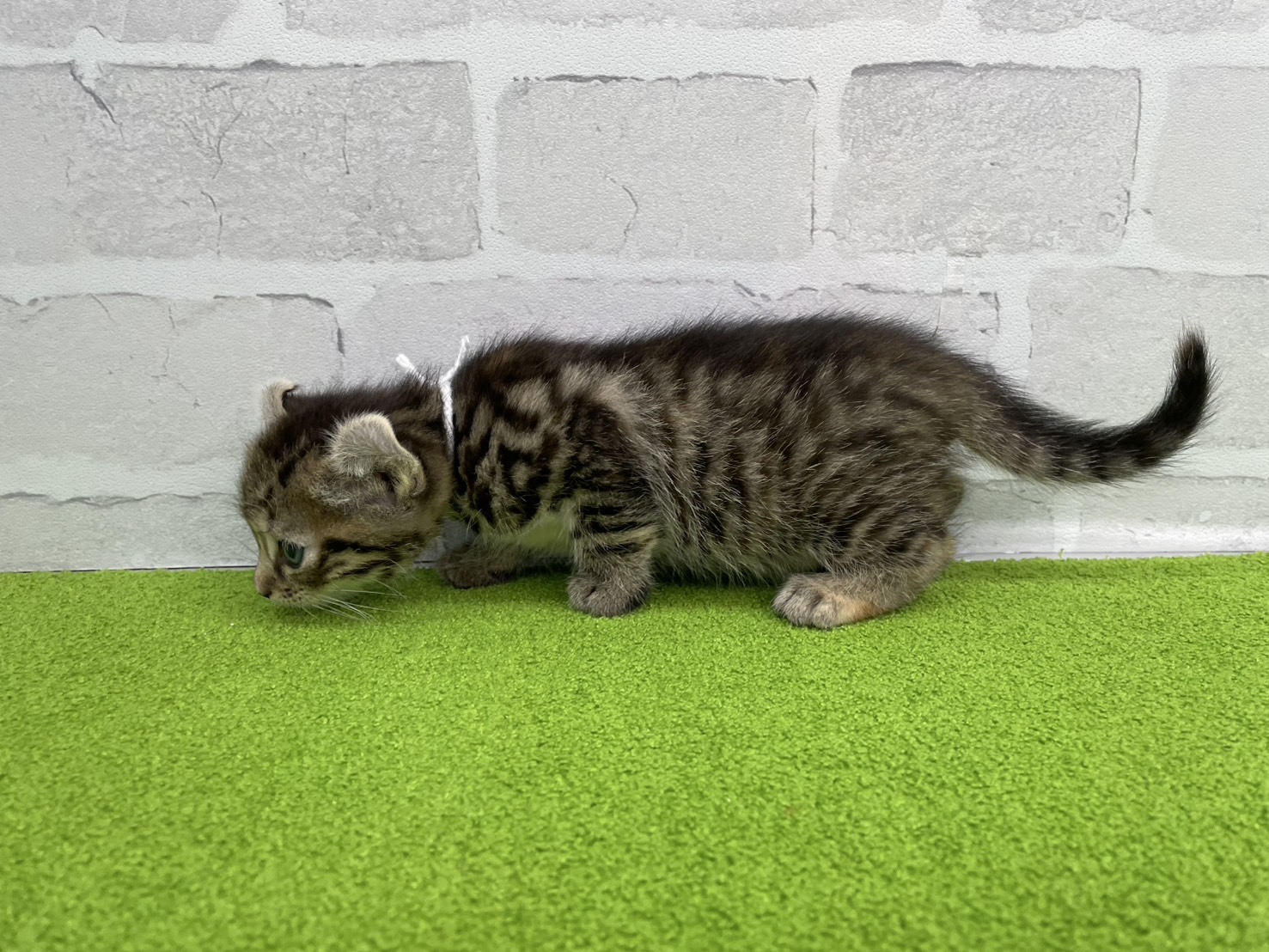 赤ちゃん写真2-2