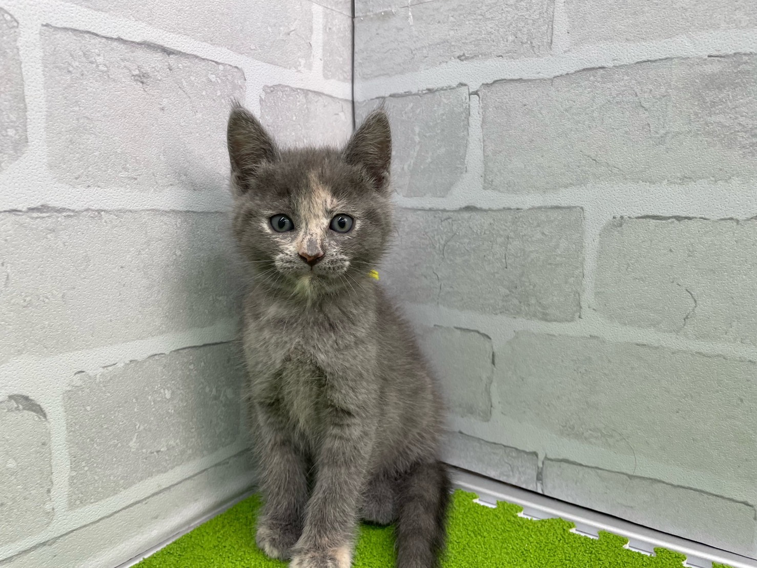 赤ちゃん写真3-1