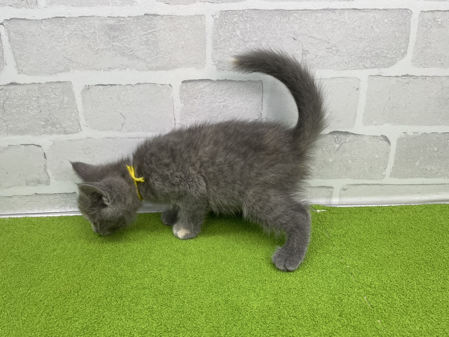 赤ちゃん写真3-2