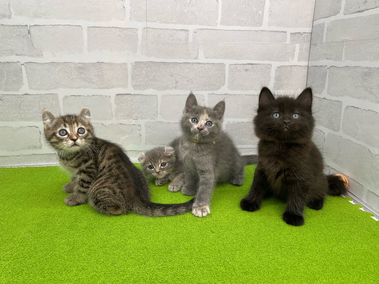 赤ちゃん写真3-3