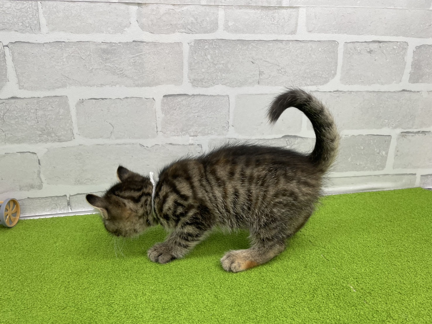 赤ちゃん写真3-2