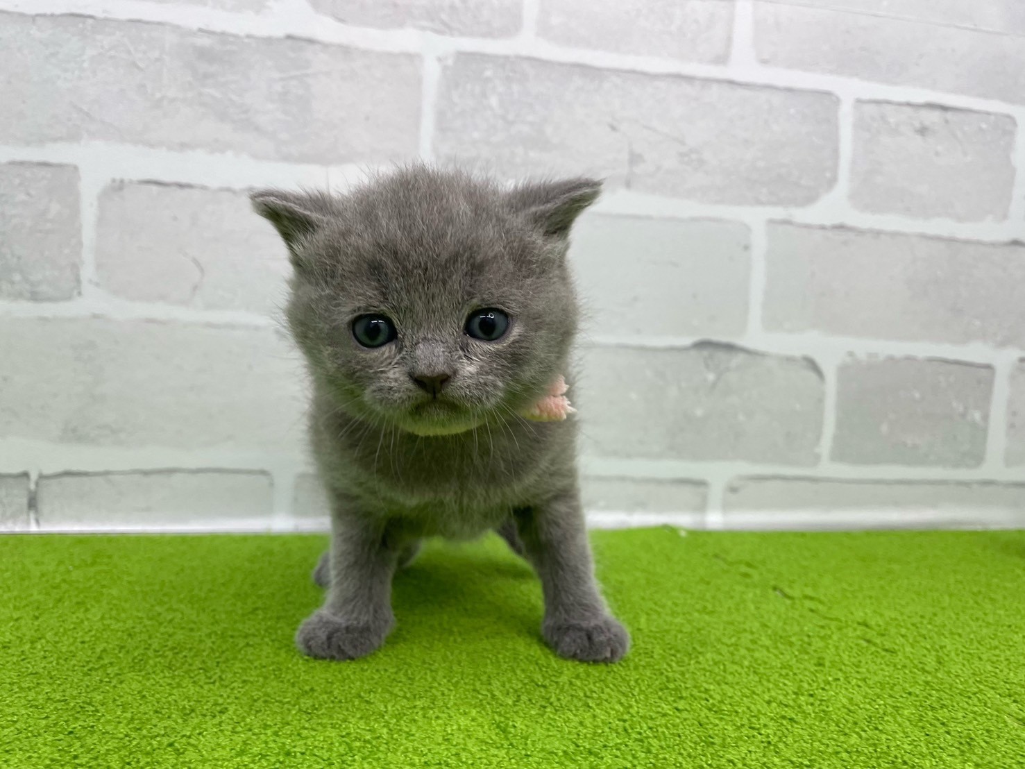 赤ちゃん写真2-1