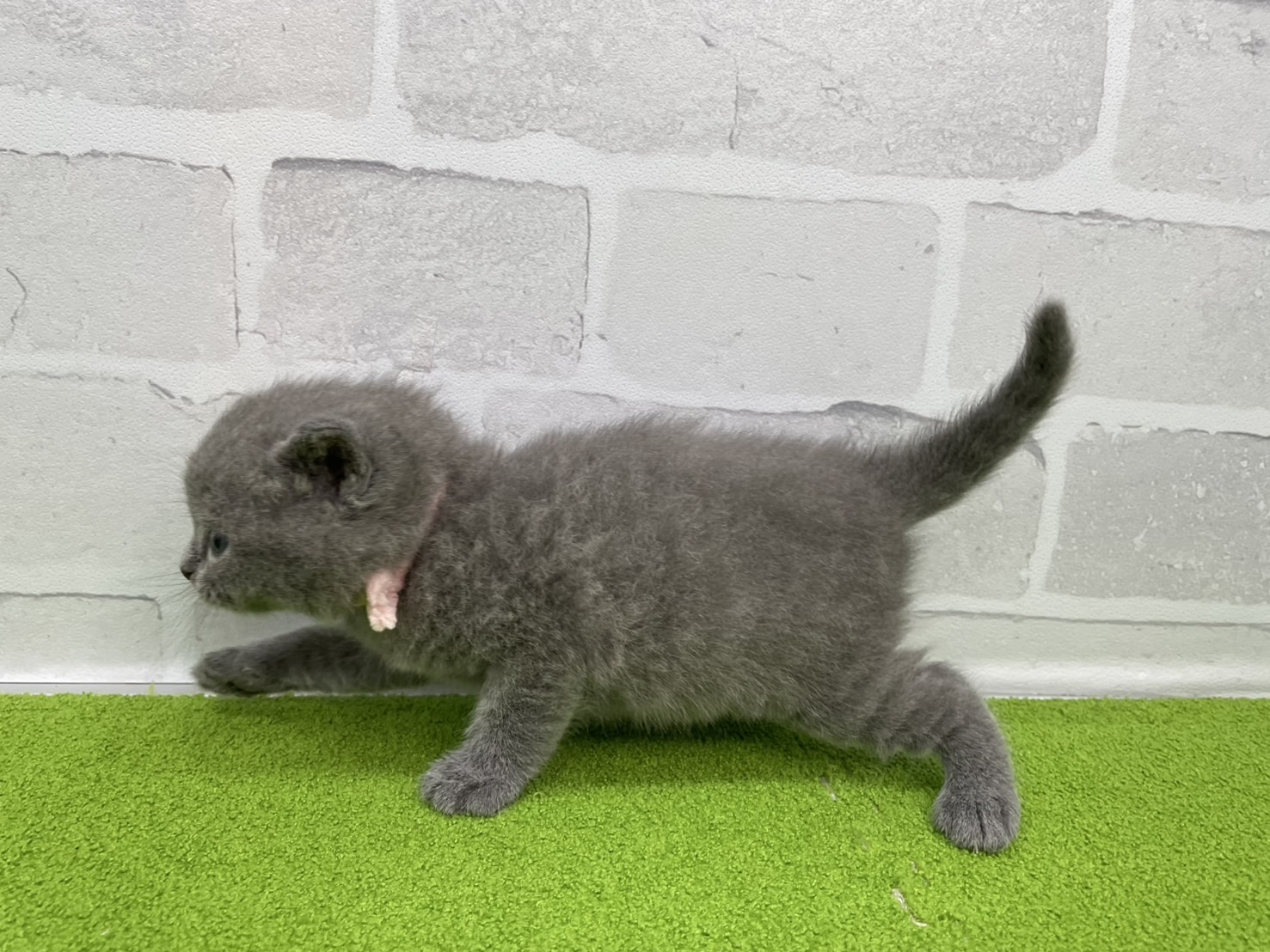 赤ちゃん写真2-2