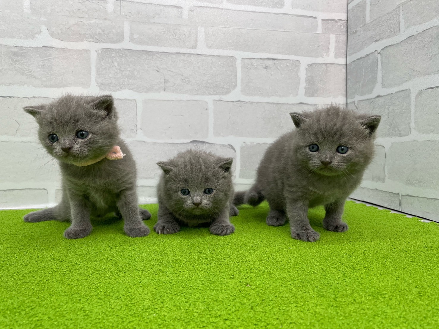 赤ちゃん写真2-3