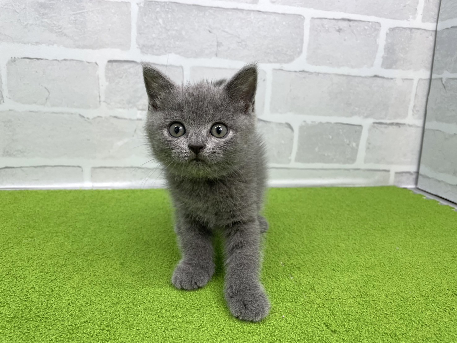 赤ちゃん写真3-1