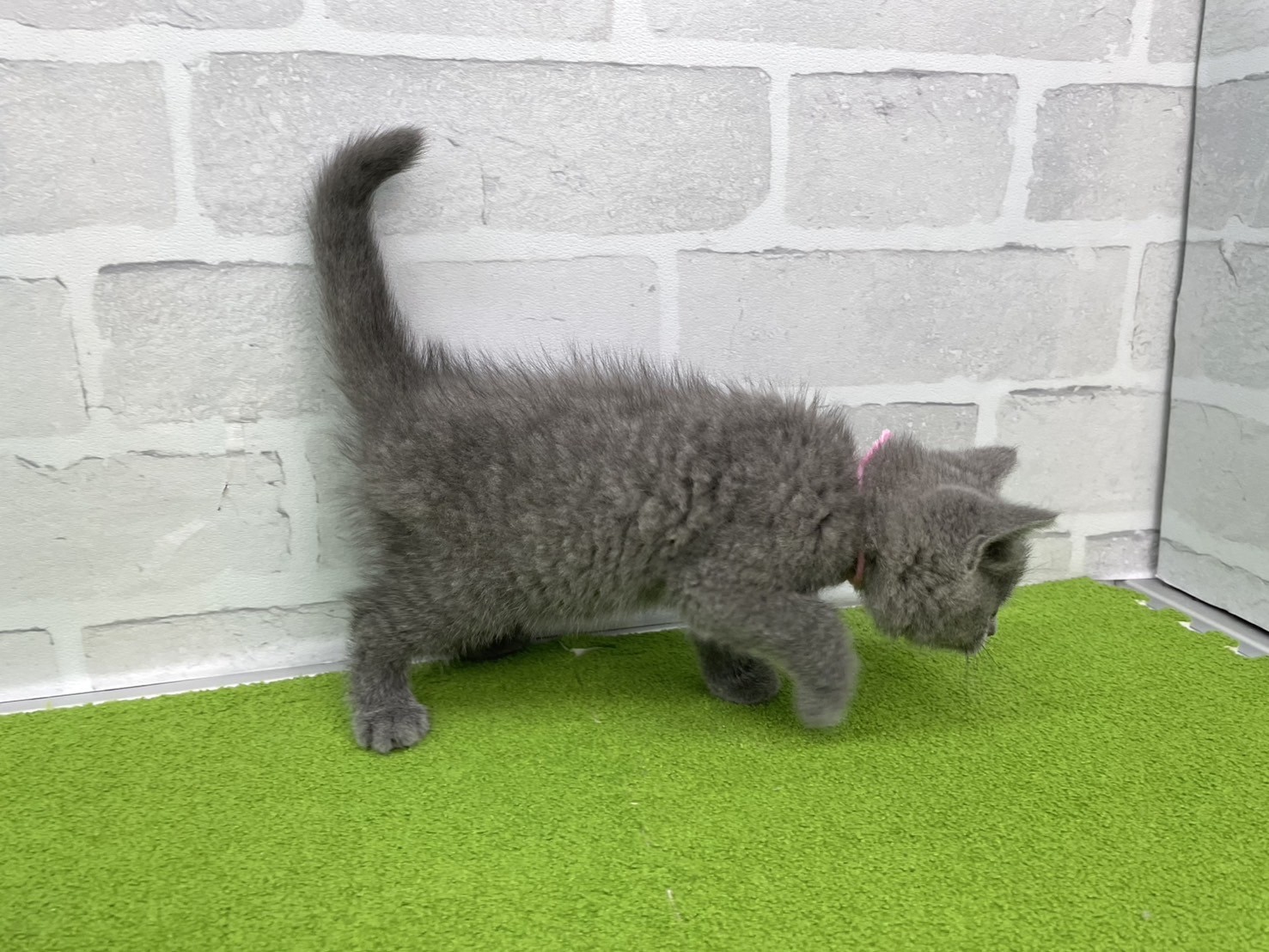 赤ちゃん写真3-2