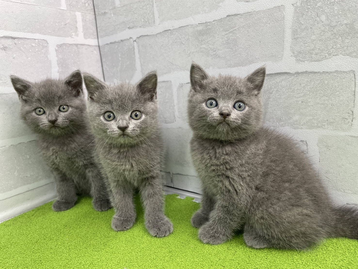 赤ちゃん写真3-3