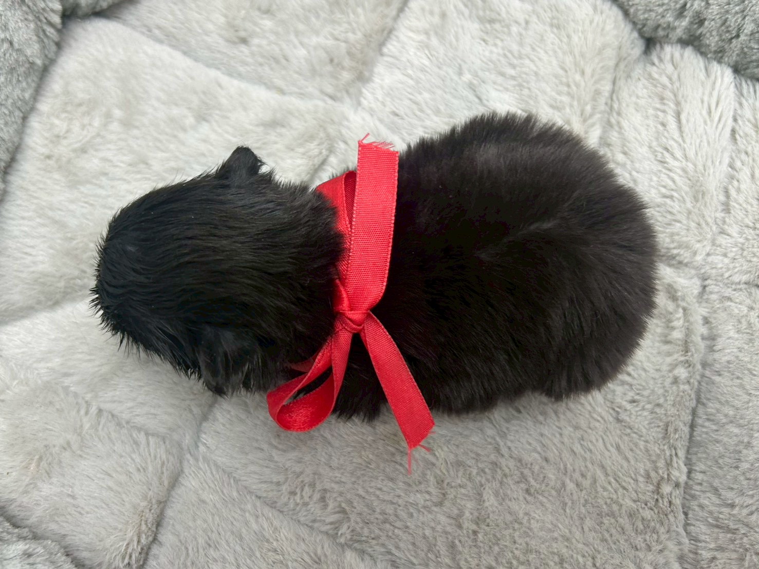 赤ちゃん写真2-3