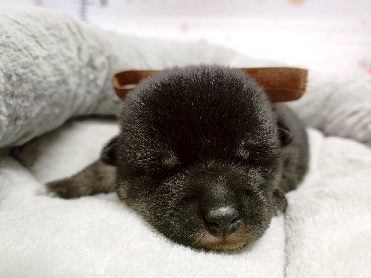 赤ちゃん写真1-1