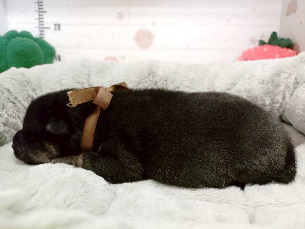 赤ちゃん写真1-2