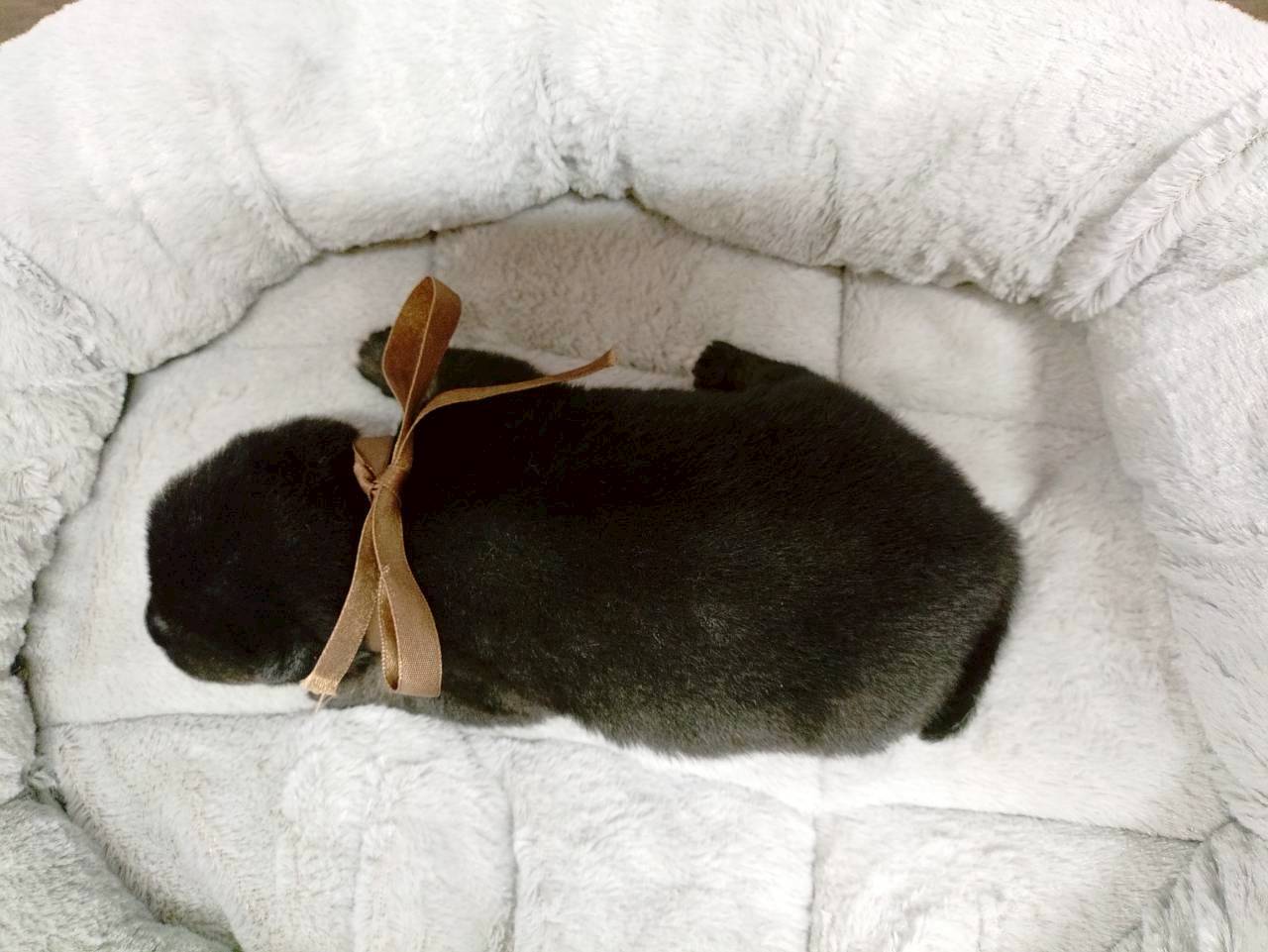 赤ちゃん写真1-3