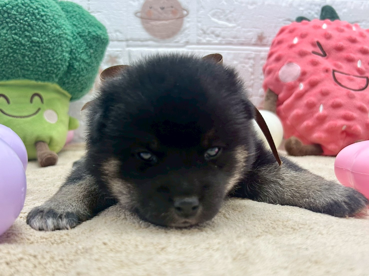 赤ちゃん写真2-1