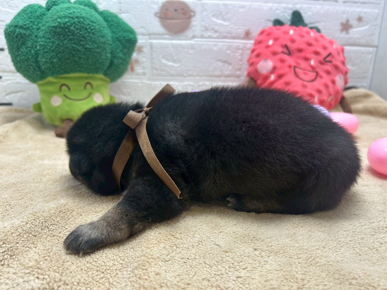 赤ちゃん写真2-2