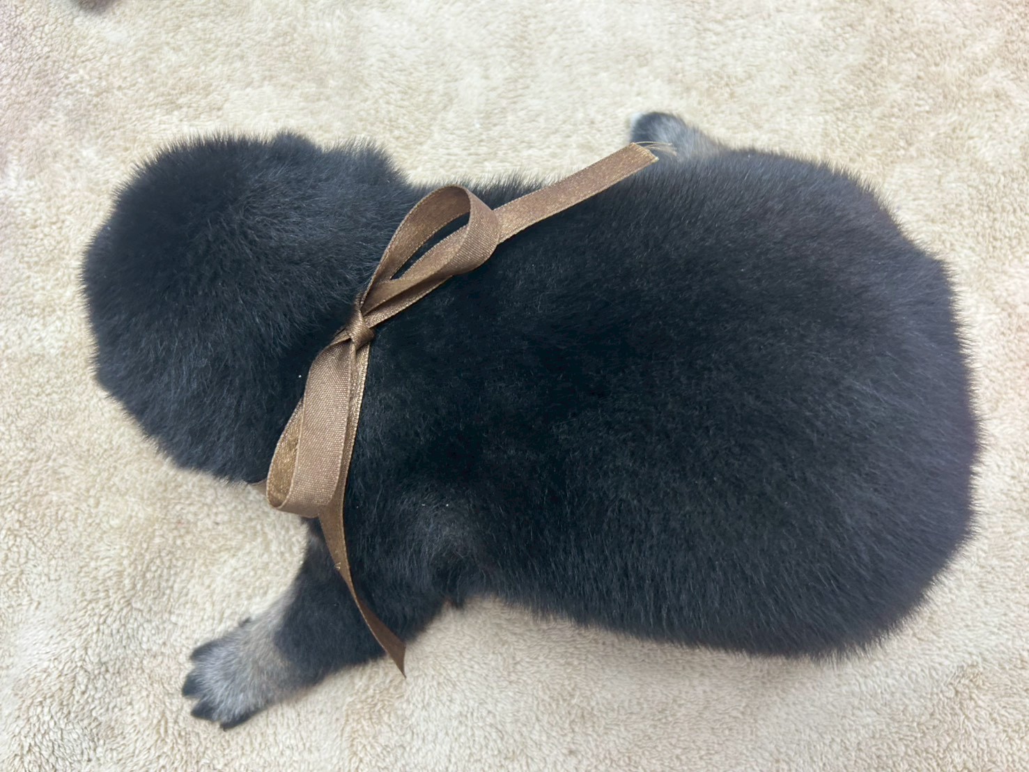 赤ちゃん写真2-3