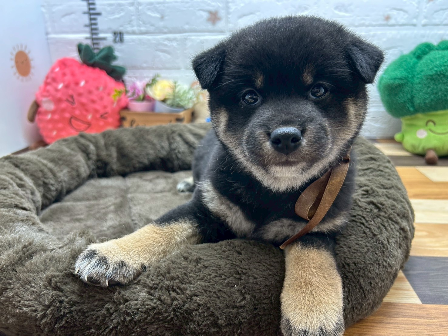 赤ちゃん写真3-1