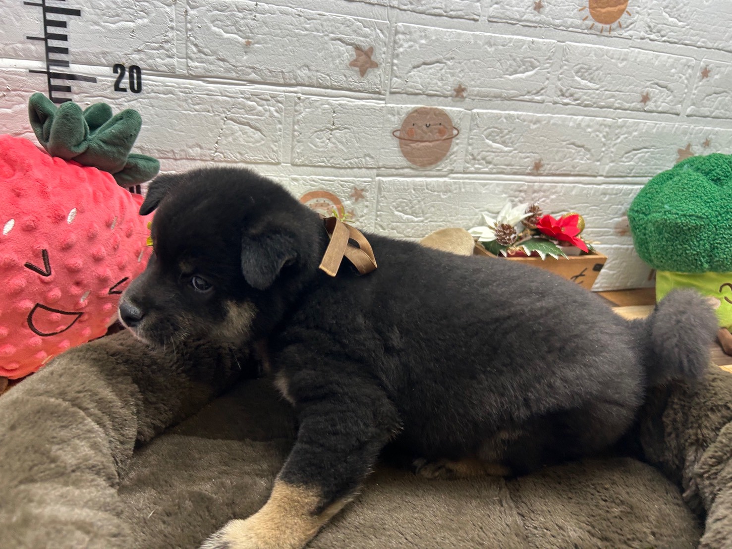 赤ちゃん写真3-2