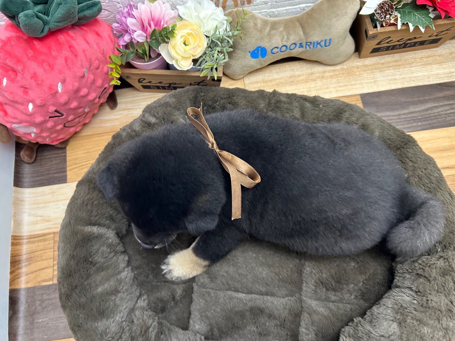 赤ちゃん写真3-3