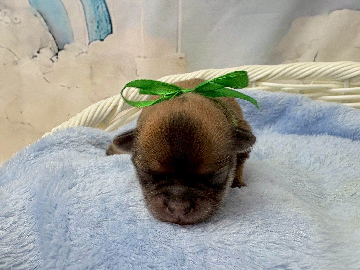 赤ちゃん写真1-1