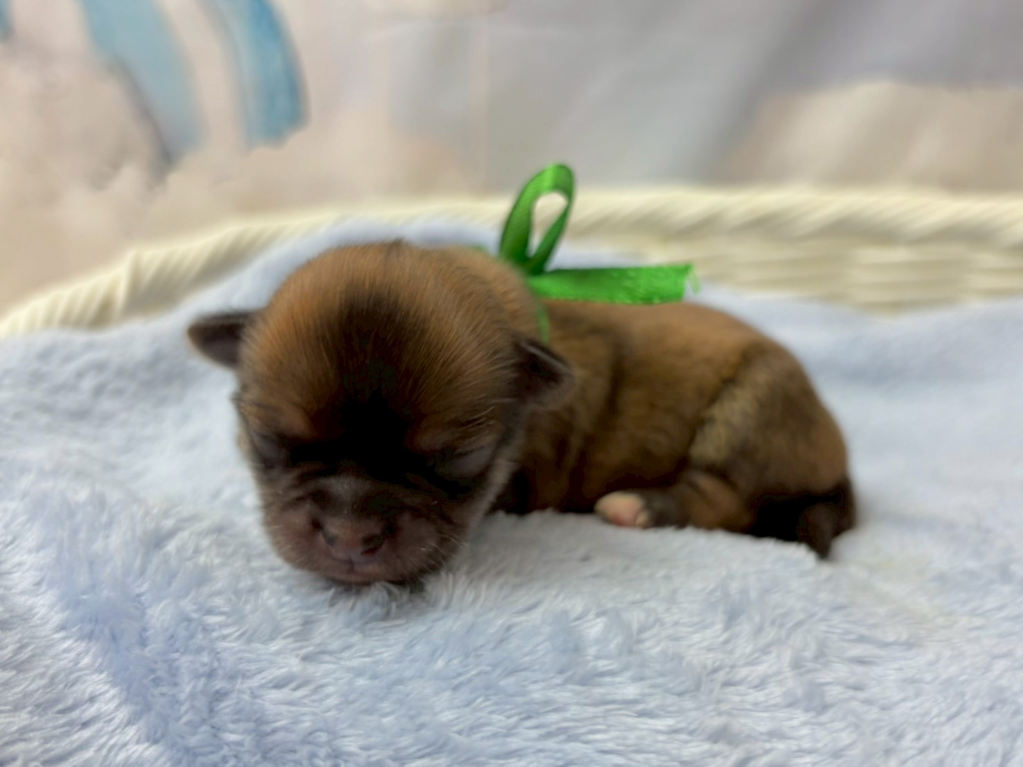 赤ちゃん写真1-2