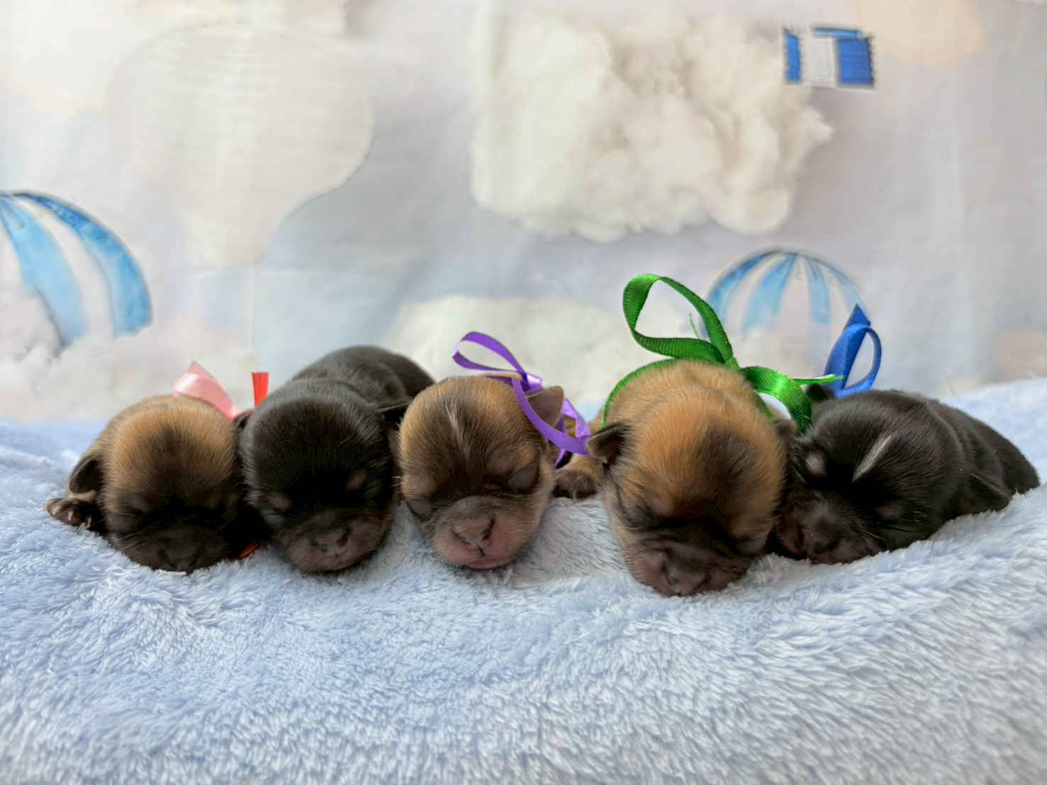 赤ちゃん写真1-3