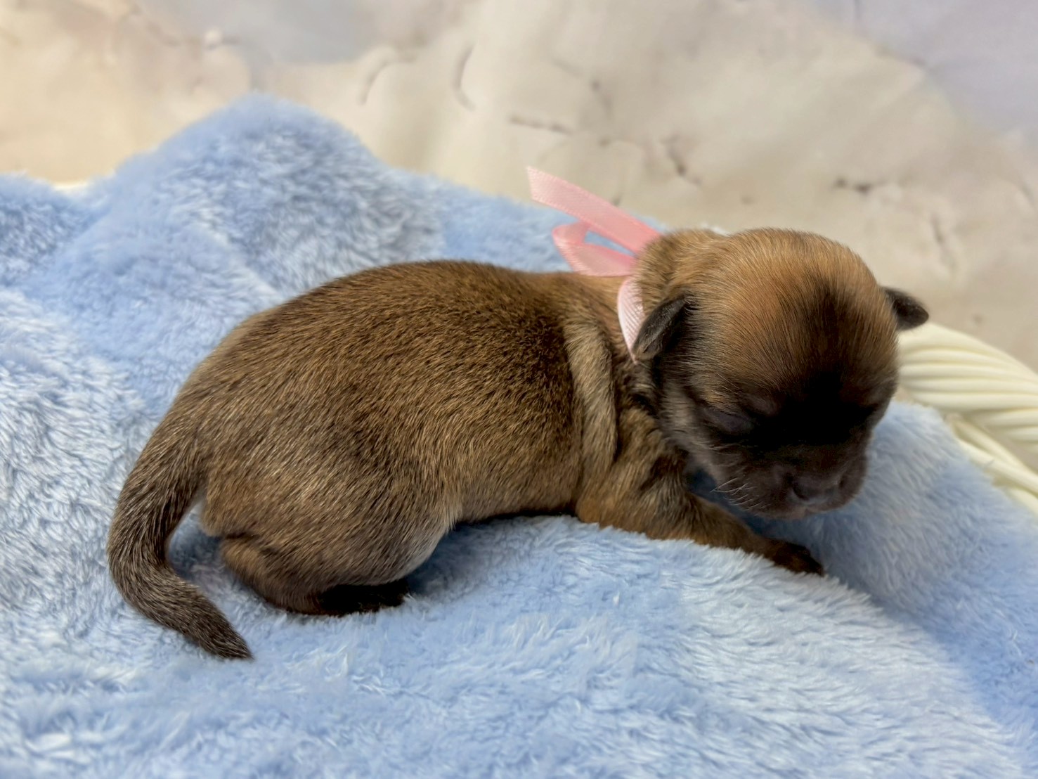 赤ちゃん写真1-2