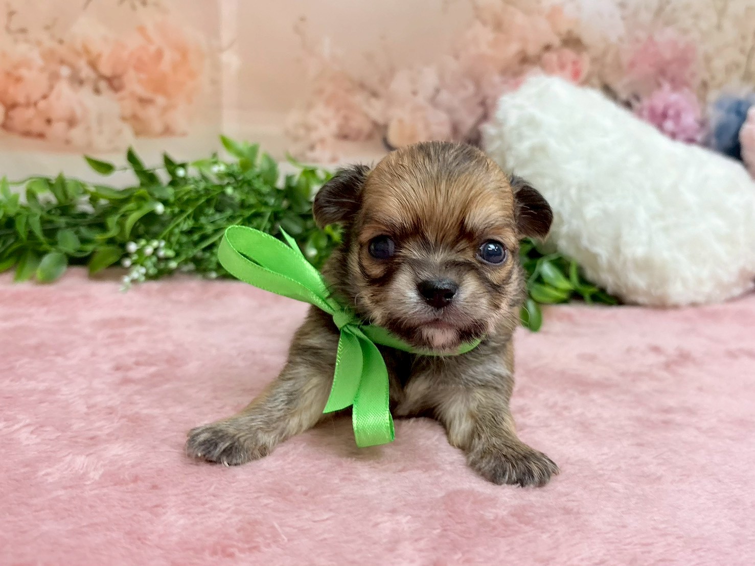 赤ちゃん写真2-1