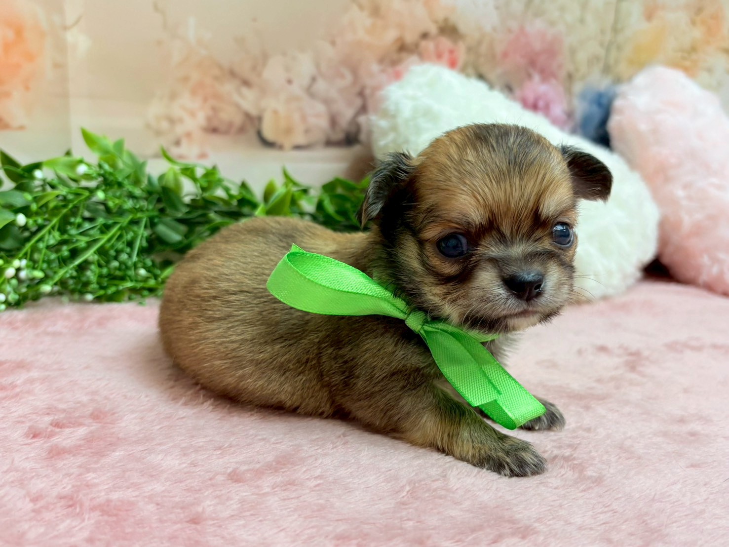 赤ちゃん写真2-2