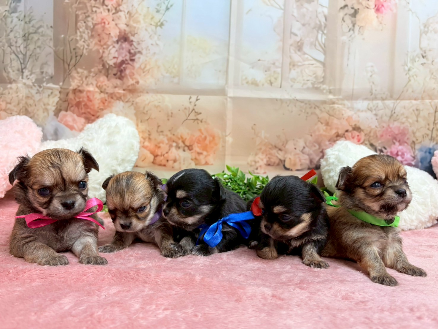 赤ちゃん写真2-3