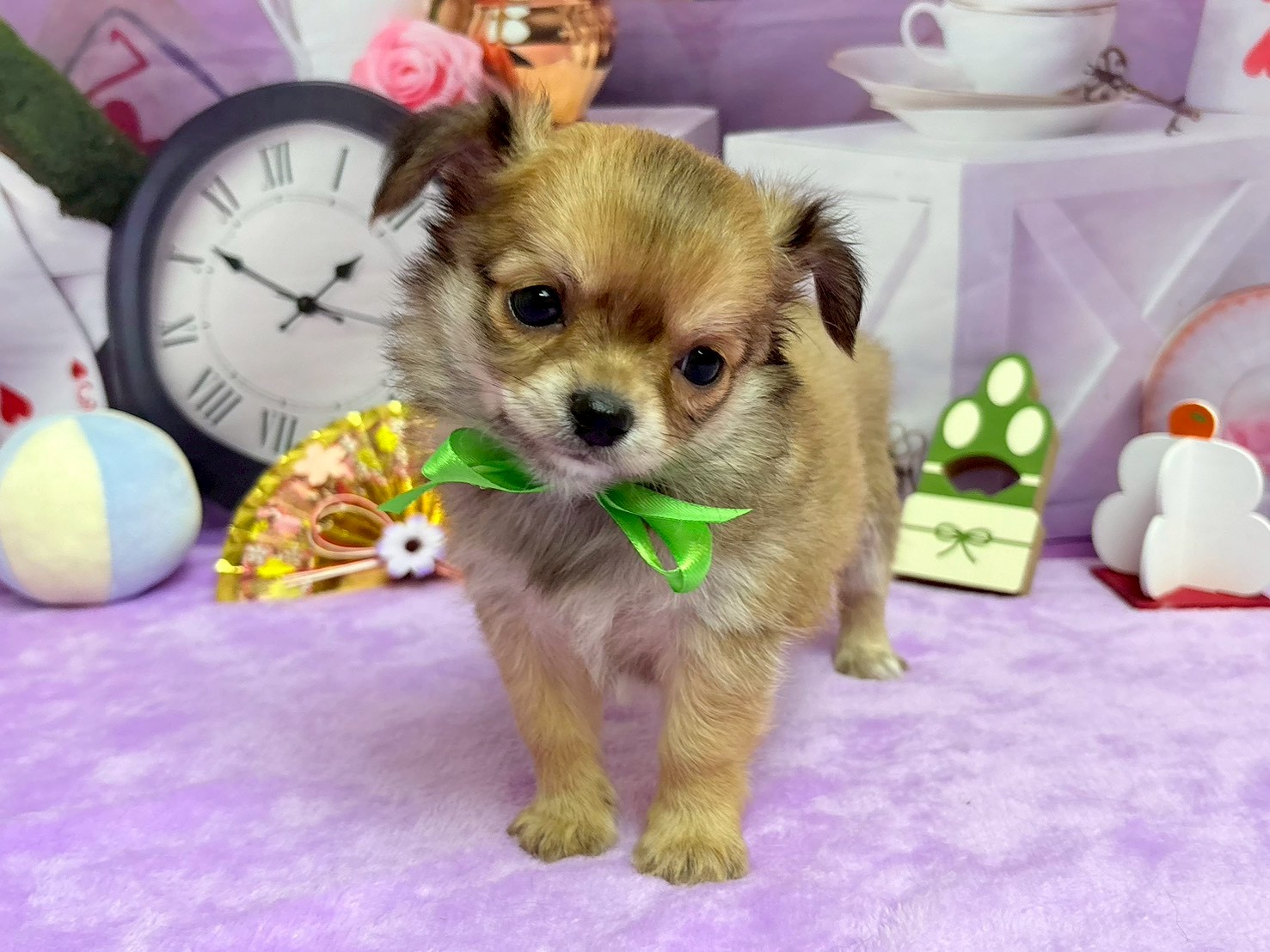 赤ちゃん写真3-1