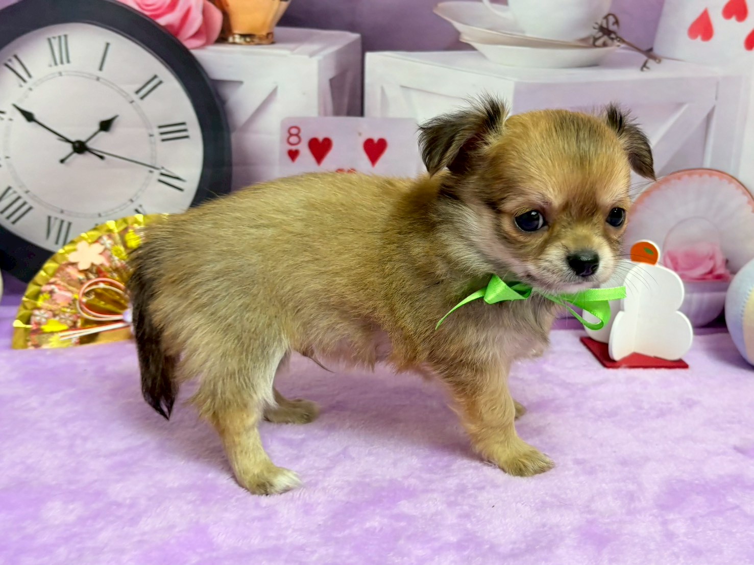 赤ちゃん写真3-2