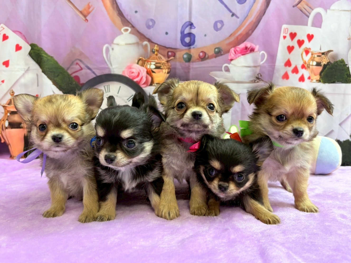 赤ちゃん写真3-3