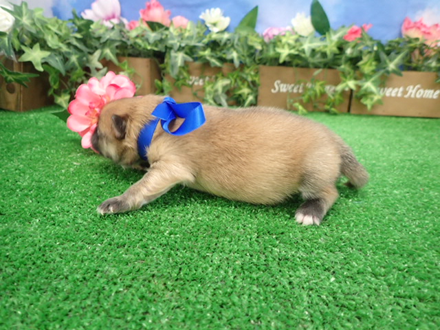 赤ちゃん写真1-2