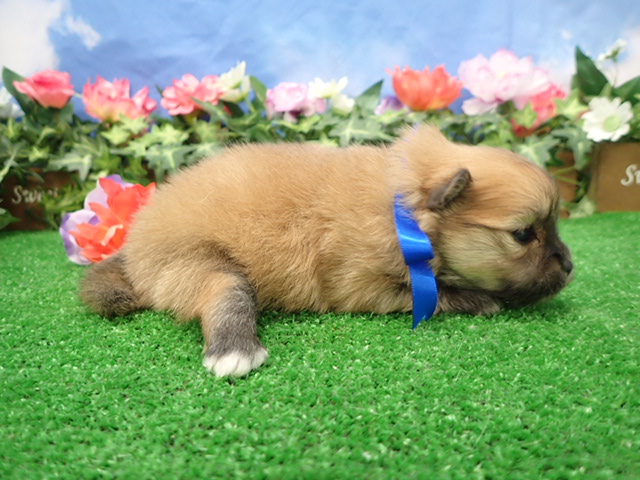赤ちゃん写真2-2