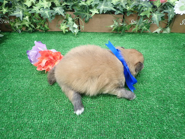 赤ちゃん写真2-3