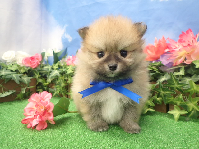 赤ちゃん写真3-1