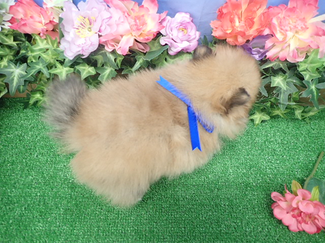 赤ちゃん写真3-3