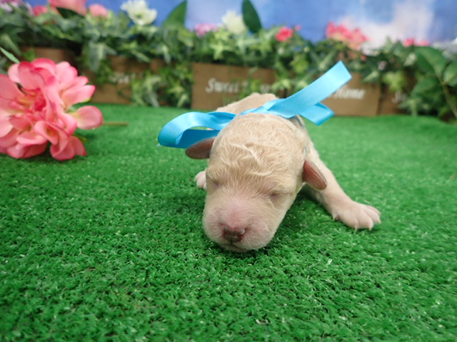 赤ちゃん写真1-1