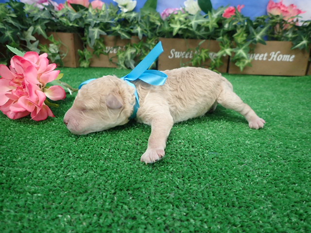 赤ちゃん写真1-2