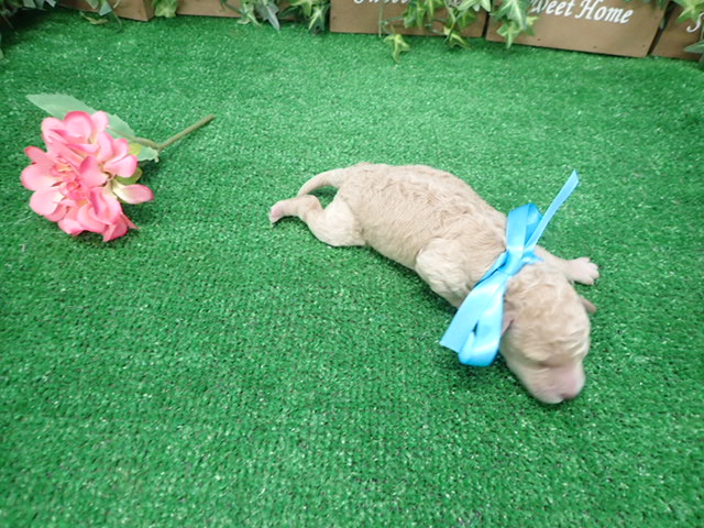 赤ちゃん写真1-3