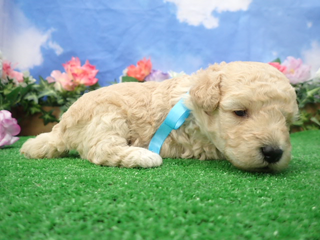 赤ちゃん写真2-2