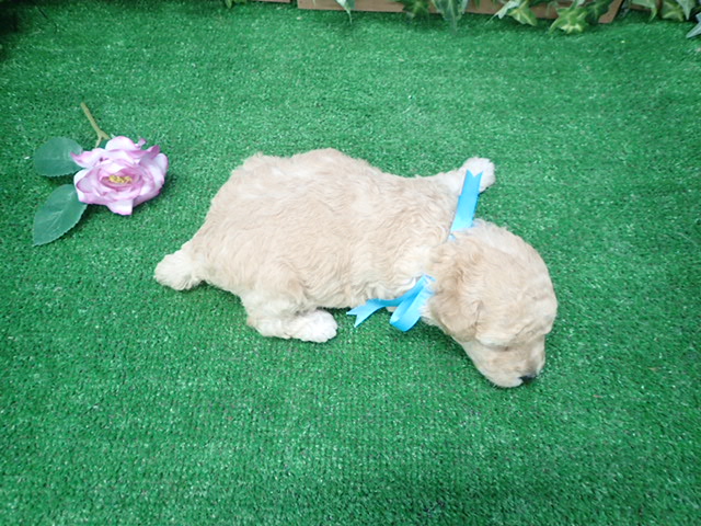 赤ちゃん写真2-3