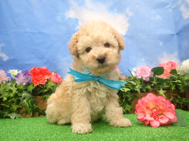 赤ちゃん写真3-1