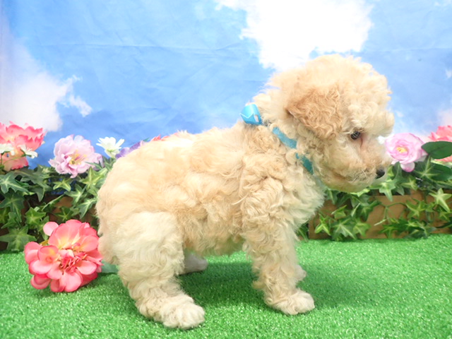 赤ちゃん写真3-2