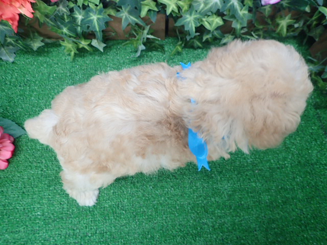 赤ちゃん写真3-3