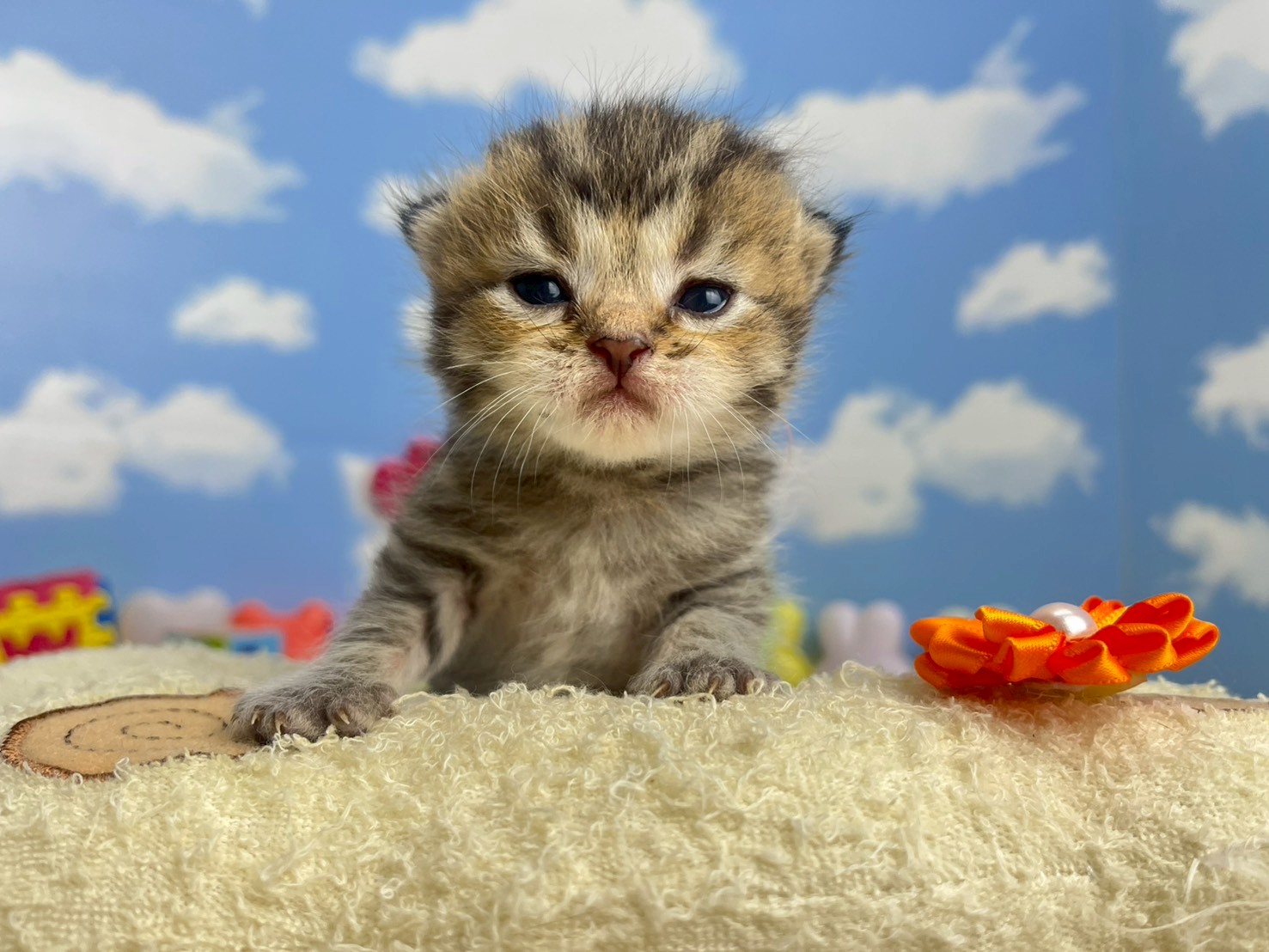 赤ちゃん写真1-1