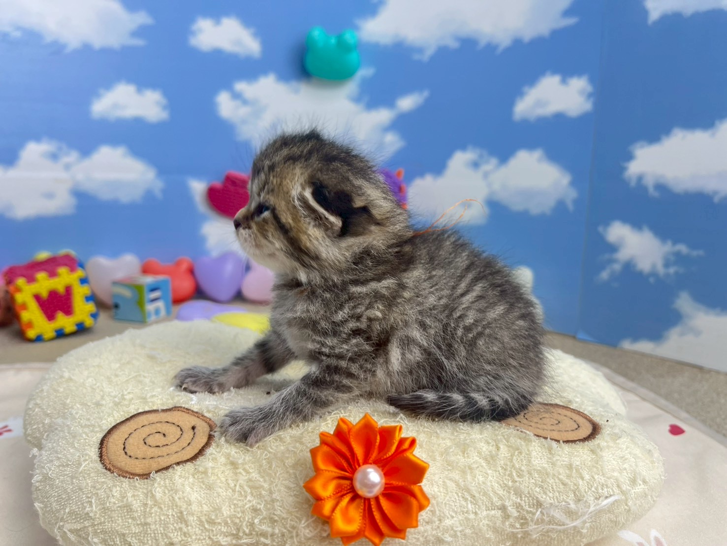 赤ちゃん写真1-2