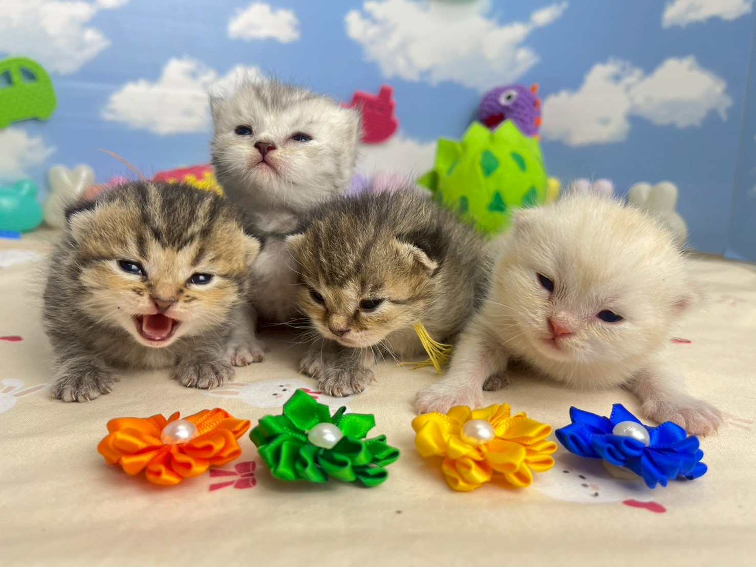 赤ちゃん写真1-3