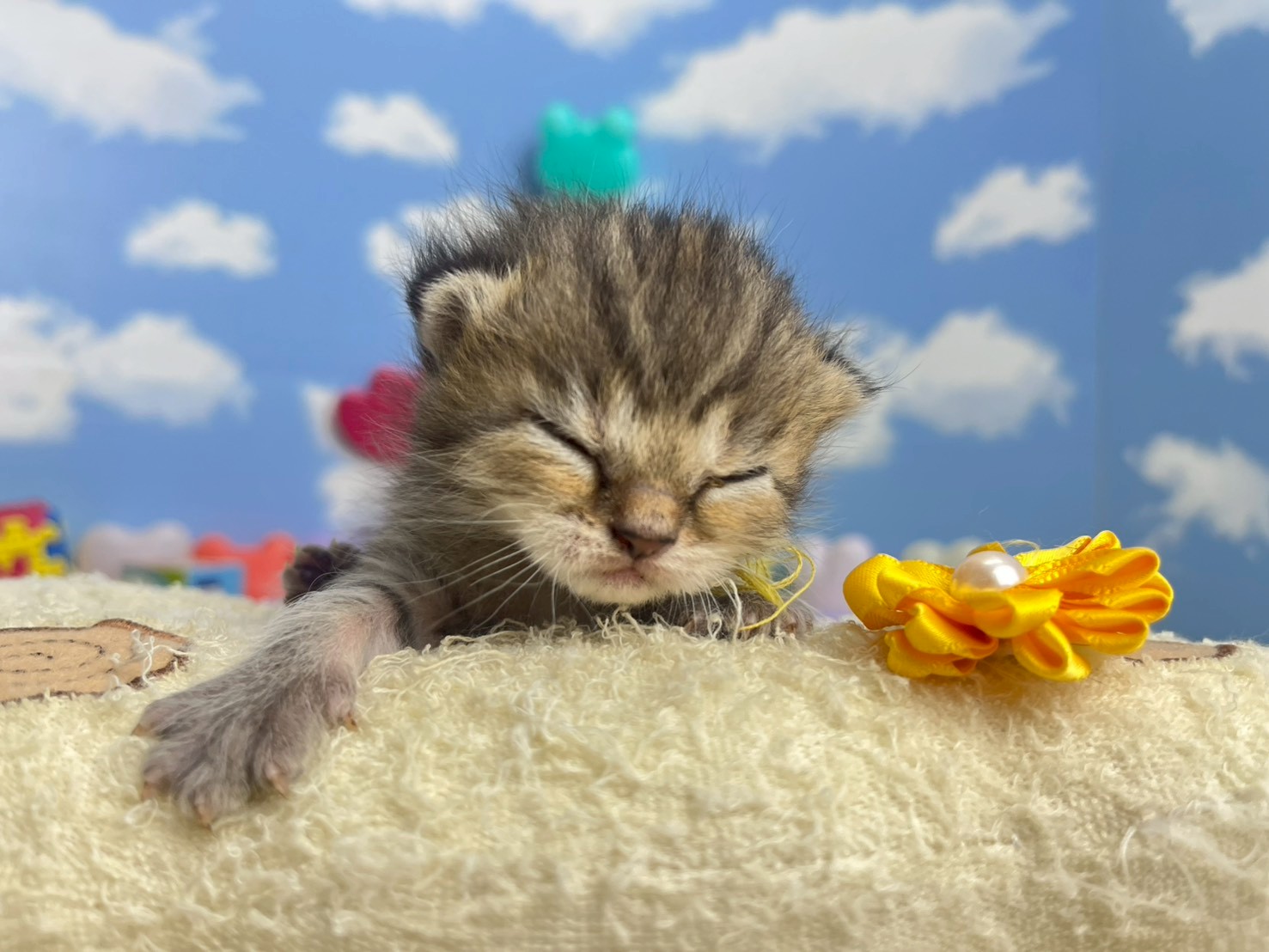 赤ちゃん写真1-1