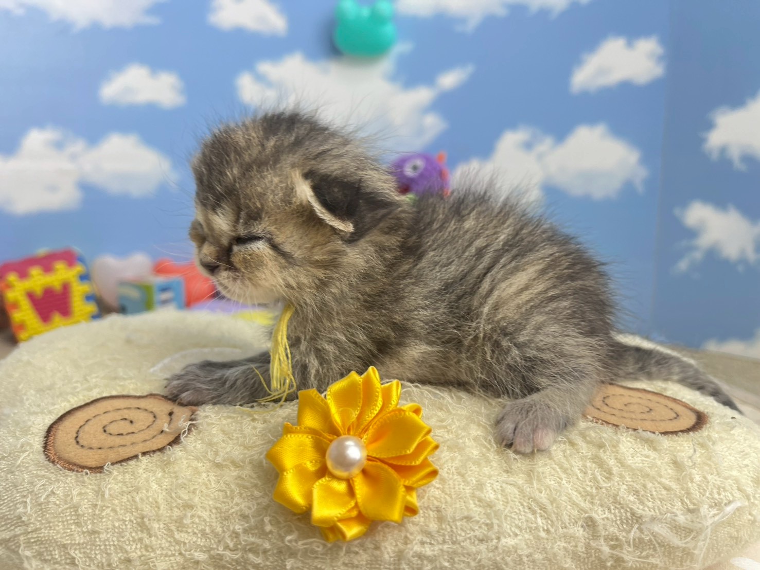 赤ちゃん写真1-2